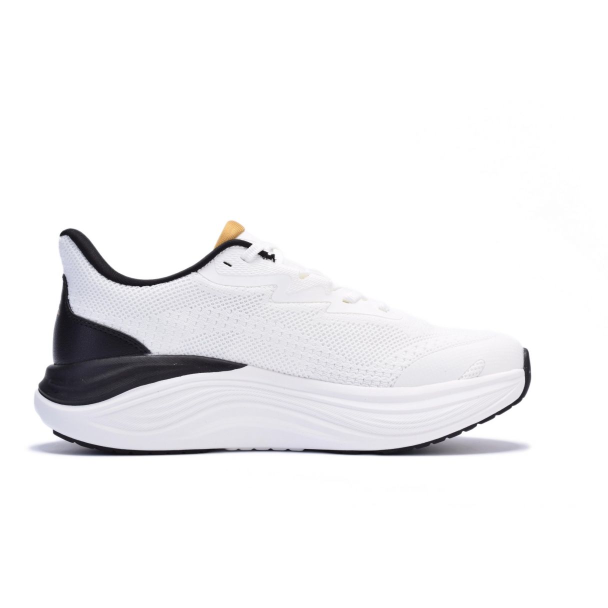 RNS-251-6688, E BARDHË - Image 3